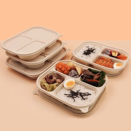 Frites Dispos Lunch Box Nourriture Acheter des aliments jetables Compartiments Conteneur